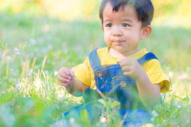 2 yaşındaki Asyalı çocuk yeşil çimen parkında parkında doğa bitkisi oynuyor.