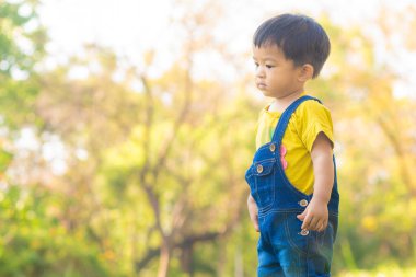 2 yaşındaki Asyalı çocuk yeşil çimen parkında parkında doğa bitkisi oynuyor.