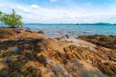 Deniz kıyısı kıyısı. Tropikal ağaç mavi gökyüzü. Yaz tatili manzarası bulutlu.