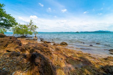 Deniz kıyısı kıyısı. Tropikal ağaç mavi gökyüzü. Yaz tatili manzarası bulutlu.