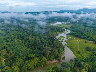 Tropikal yağmur ormanlarındaki hava manzarası nehri.