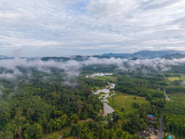 Tropikal yağmur ormanlarındaki hava manzarası nehri.