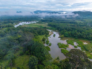 Tropikal yağmur ormanlarındaki hava manzarası nehri.