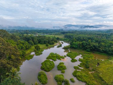 Tropikal yağmur ormanlarındaki hava manzarası nehri.