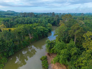 Tropikal yağmur ormanlarındaki hava manzarası nehri.
