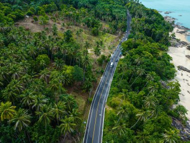 Tropikal orman adası taşımacılık endüstrisinde hava manzaralı asfalt yol