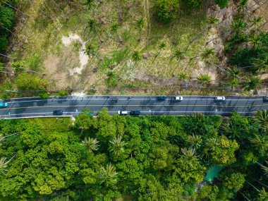 Tropikal orman adası taşımacılık endüstrisinde hava manzaralı asfalt yol