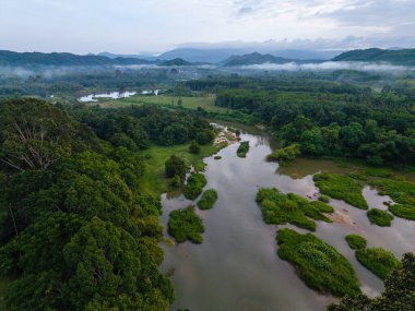 Tropikal yağmur ormanlarındaki hava manzarası nehri.