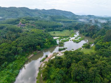 Tropikal yağmur ormanlarındaki hava manzarası nehri.