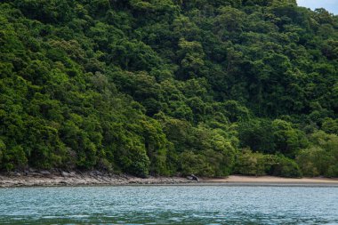 Adanın deniz manzarasında tropik yeşil yağmur ormanı.