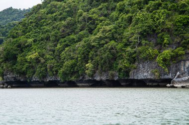 Adanın deniz manzarasında tropik yeşil yağmur ormanı.