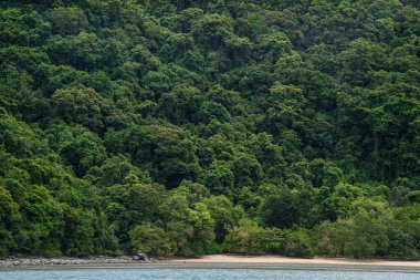 Adanın deniz manzarasında tropik yeşil yağmur ormanı.