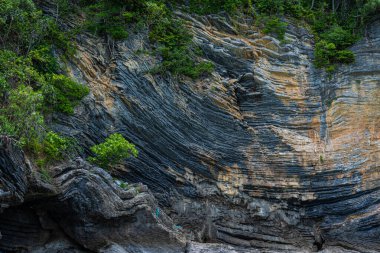 Tropikal yağmur ormanı adası Nakornsrithammarat Tayland 'daki tortu sürecinden kalma Pancake Rock' ın arka bahçesi.