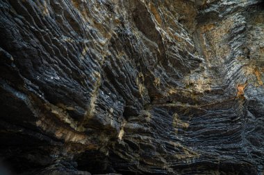 Tropikal yağmur ormanı adası Nakornsrithammarat Tayland 'daki tortu sürecinden kalma Pancake Rock' ın arka bahçesi.