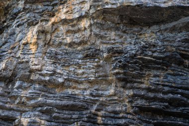 Tropikal yağmur ormanı adası Nakornsrithammarat Tayland 'daki tortu sürecinden kalma Pancake Rock' ın arka bahçesi.