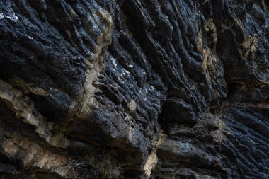 Tropikal yağmur ormanı adası Nakornsrithammarat Tayland 'daki tortu sürecinden kalma Pancake Rock' ın arka bahçesi.