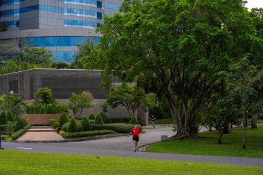 Modern ofis inşa eden yeşil şehir parkı.