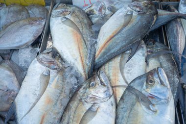 Ton balıklarının geçmişi Tayland 'da geleneksel balıkçılık pazarında satılıyor