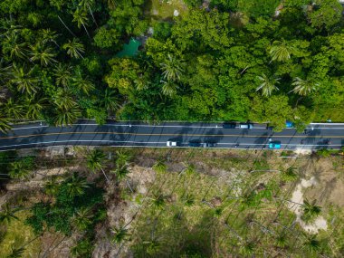 Tropikal orman adası taşımacılık endüstrisinde hava manzaralı asfalt yol