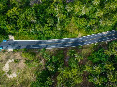 Tropikal orman adası taşımacılık endüstrisinde hava manzaralı asfalt yol