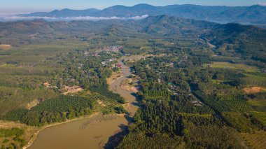 Hava manzaralı tropikal yeşil orman ağacı ve nehir kanalı sabah güneşinin doğduğu doğa manzarası.