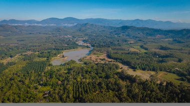 Hava manzaralı tropikal yeşil orman ağacı ve nehir kanalı sabah güneşinin doğduğu doğa manzarası.