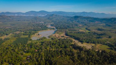 Hava manzaralı tropikal yeşil orman ağacı ve nehir kanalı sabah güneşinin doğduğu doğa manzarası.