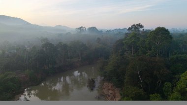 Hava manzaralı tropikal yeşil orman ağacı ve nehir kanalı sabah güneşinin doğduğu doğa manzarası.