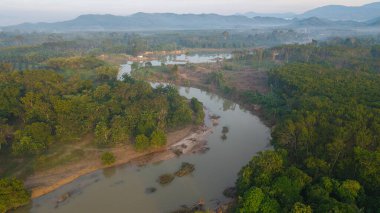 Hava manzaralı tropikal yeşil orman ağacı ve nehir kanalı sabah güneşinin doğduğu doğa manzarası.