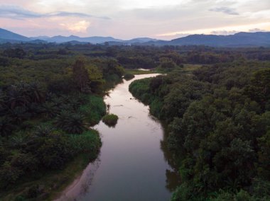 Tropikal yağmur ormanı hava manzaralı nehir eğrisi