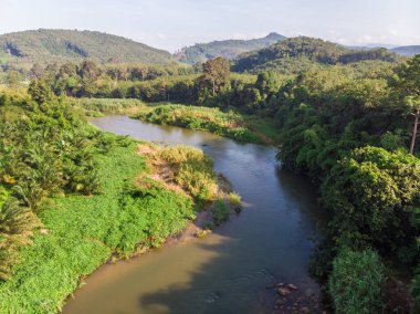 Sabah sisli hava manzarası lanet olası nehir ormanı doğa manzarası.