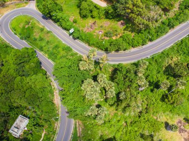 Ağaç ormanı hava manzaralı, dağ denizi adasında asfalt yol.