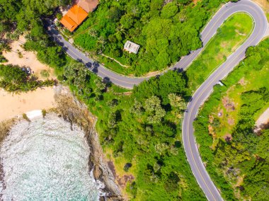 Ağaç ormanı hava manzaralı, dağ denizi adasında asfalt yol.