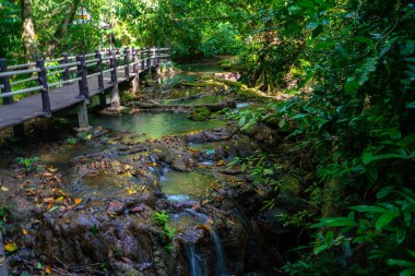 Tropikal yağmur ormanlarında yürüyüş yolu şelale parkı doğa manzarası