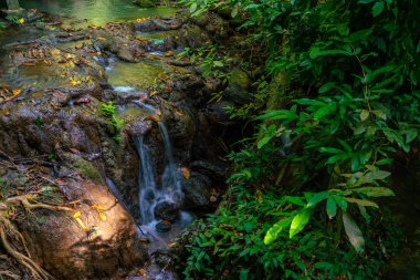 Tropikal yağmur ormanlarındaki güzel şelale yeşil arka plan doğa eğlencesi