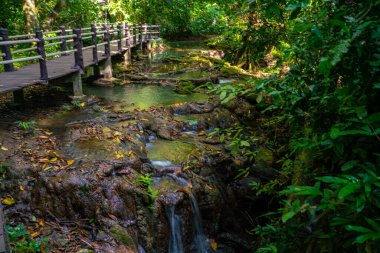 Tropikal yağmur ormanlarında yürüyüş yolu şelale parkı doğa manzarası