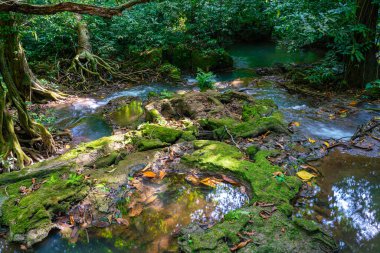 Tropikal yağmur ormanlarındaki güzel şelale yeşil arka plan doğa eğlencesi