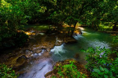 Yeşil ağaçta çağlayan nehir tropikal yağmur ormanları turkuvaz su tabiatı
