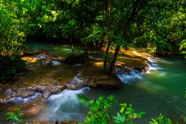 Yeşil ağaçta çağlayan nehir tropikal yağmur ormanları turkuvaz su tabiatı