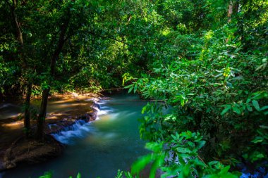 Yeşil ağaçta çağlayan nehir tropikal yağmur ormanları turkuvaz su tabiatı