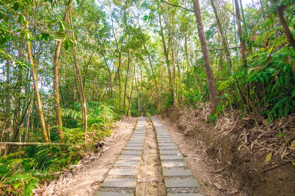 パスのハイキング道 — ストック写真