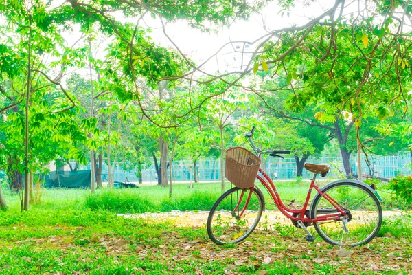 在花园的绿草坪上的红色自行车 — 图库照片