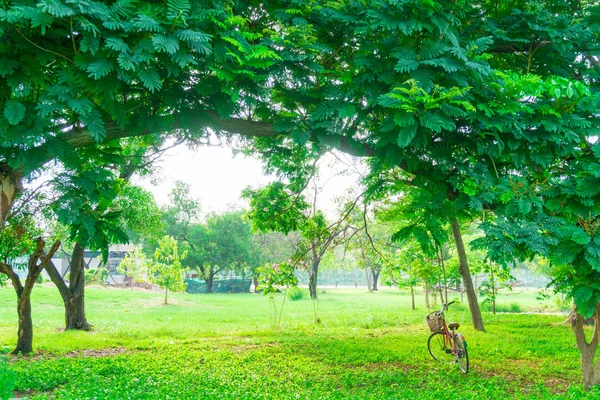 Red bicycle in the garden green lawn — Stock Photo, Image