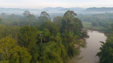 Hava manzaralı tropikal yağmur ormanı nehir eğrisi. Sis ekolojik doğa manzaralı gün doğumu.
