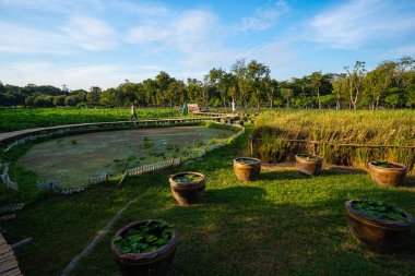 Tropikal orman şehrindeki yeşil çayır çimenler halk parkı arka plan doğa manzarası inşa ediyor