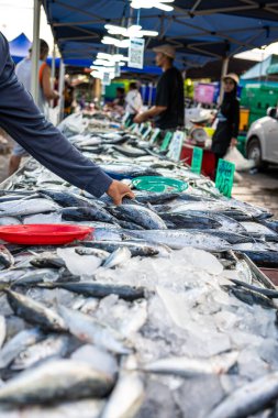 İnsanlar deniz ürünleri geleneksel balıkçılık pazarı gıda endüstrisini elde tutuyorlar.