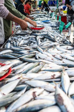 İnsanlar deniz ürünleri geleneksel balıkçılık pazarı gıda endüstrisini elde tutuyorlar.