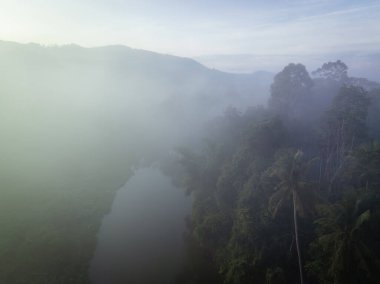 Hava manzarası sisli tropikal yeşil yağmur ormanı nehir doğası manzaralı.