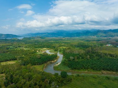 Hava nehri tropikal yeşil yağmur ormanları dağ manzarası