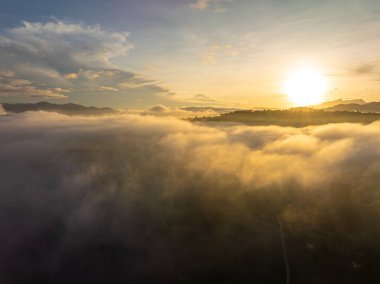 Tropikal yağmur ormanları ve dağ manzarasıyla sabah hava manzarası.